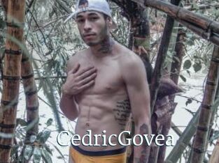 CedricGovea