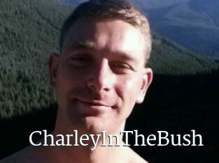 CharleyInTheBush