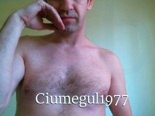 Ciumegul1977