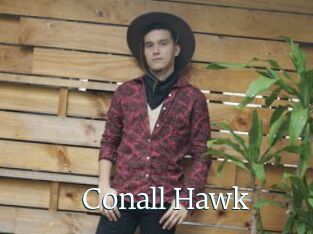 Conall_Hawk
