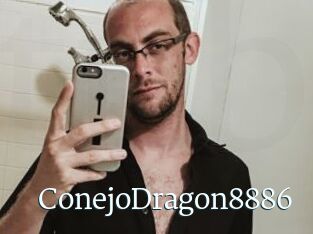 ConejoDragon8886