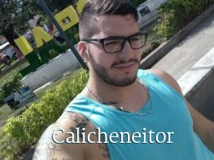 Calicheneitor