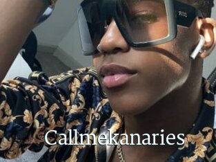 Callmekanaries