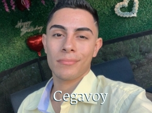Cegavoy