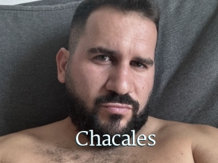Chacales