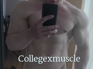 Collegexmuscle