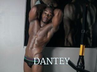DANTE_Y