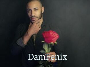 DamFenix