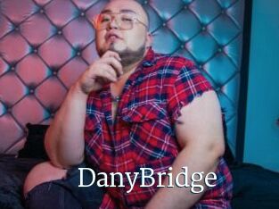 DanyBridge