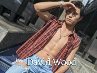 David_Wood