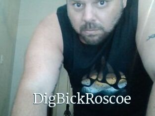 DigBickRoscoe