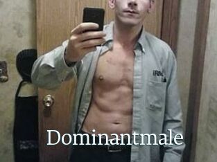 Dominantmale