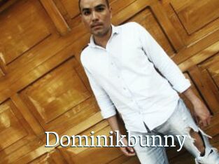 Dominikbunny