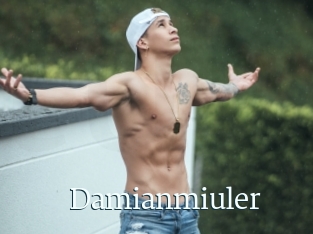 Damianmiuler