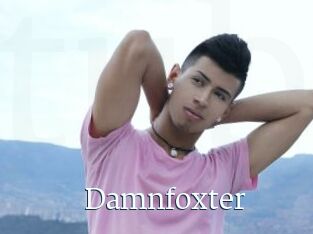 Damnfoxter