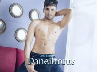 Daneil_torus