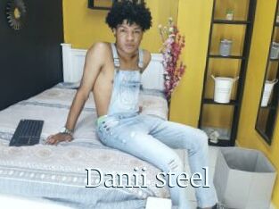 Danii_steel
