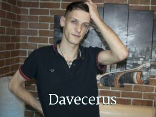 Davecerus
