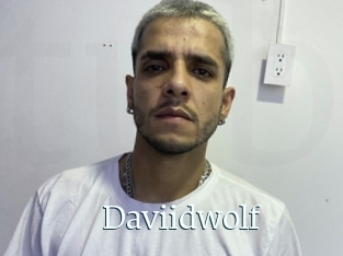 Daviidwolf