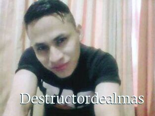 Destructordealmas