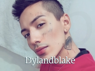 Dylandblake