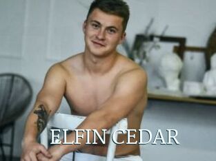 ELFIN_CEDAR
