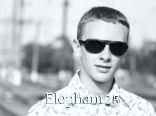 Elephant25