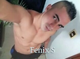 Fenix_S