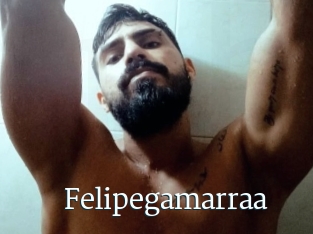Felipegamarraa