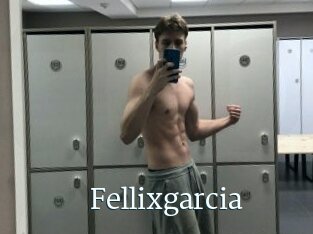 Fellixgarcia