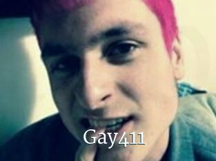 Gay411
