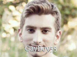 GayBoy55