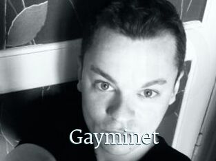 Gayminet