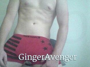 GingerAvenger
