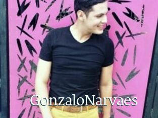 GonzaloNarvaes