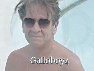Galloboy4