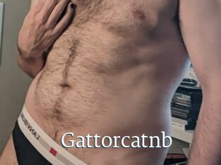 Gattorcatnb