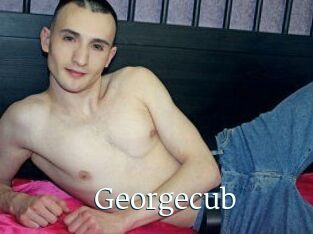 Georgecub