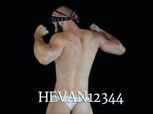 HEVAN12344