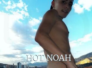 HOT_NOAH