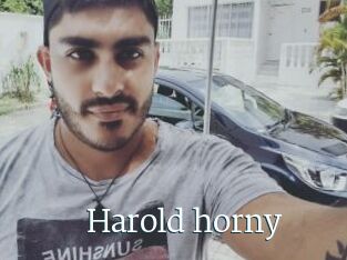 Harold_horny