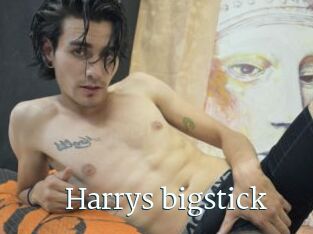 Harrys_bigstick