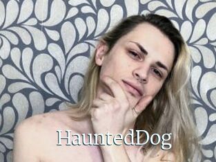 HauntedDog