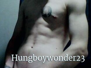 Hungboywonder23