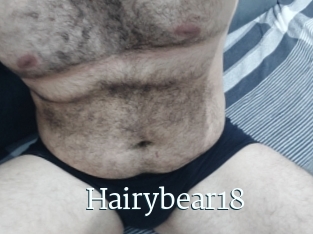 Hairybear18