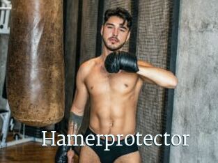 Hamerprotector
