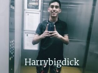 Harrybigdick