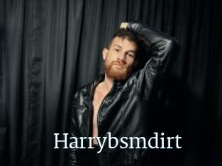 Harrybsmdirt