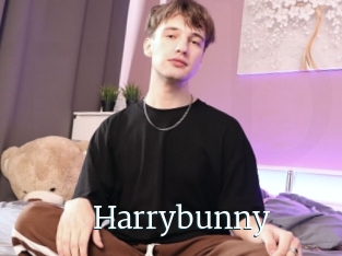 Harrybunny