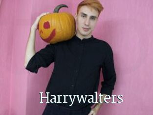 Harrywalters